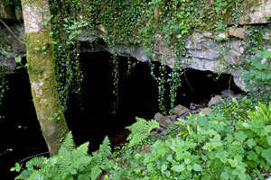 Aughnanure-Castle-ferns