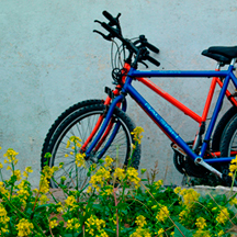 Aran Islands bicycles