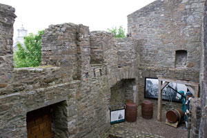 Desmond-Castle-Ireland-display-above