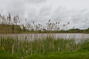 Dromoland Castle Lake