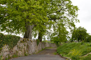 Ormonde-Castle-Grounds-Ireland