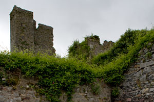 Ormonde-Castle-Ruins-Ireland