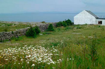 Aran-Islands-Cottage