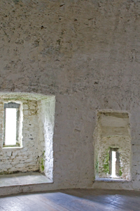 newtown castle ireland inside
