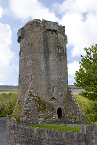 Newtown Castle Ireland