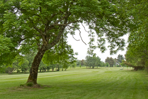 Oughterard Ireland golf